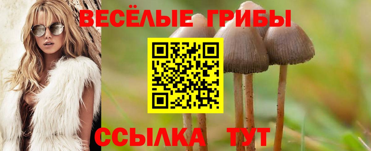 Галлюциногенные грибы GOLDEN TEACHER Каменск-Уральский