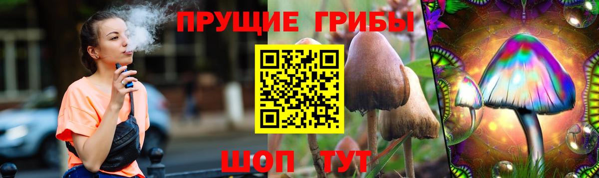 купить   Вход с VPN  Псилоцибиновые грибы прущие грибы  Каменск-Уральский  Псилоцибиновые грибы Cubensis 